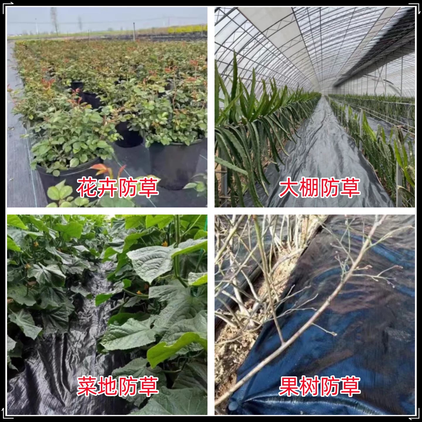 宿州市防草布防草布 - 哪里好