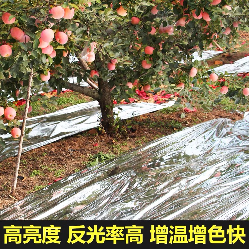 宿州市农用薄膜果树反光膜 - 方案